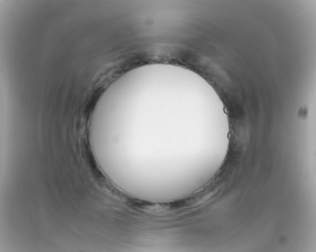 X0000092090511200709121128