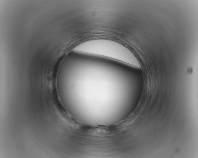 X0000092090512200709121128