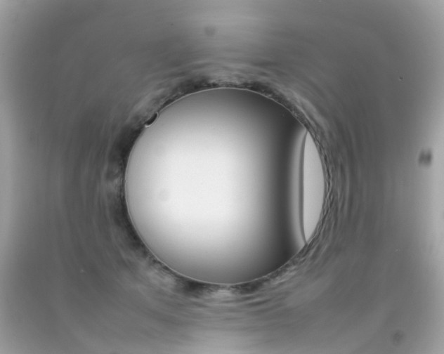 X0000092090513200709121128