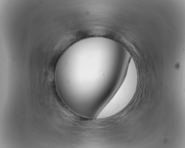 X0000092090517200709121128