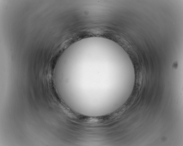 X0000092090518200709121128