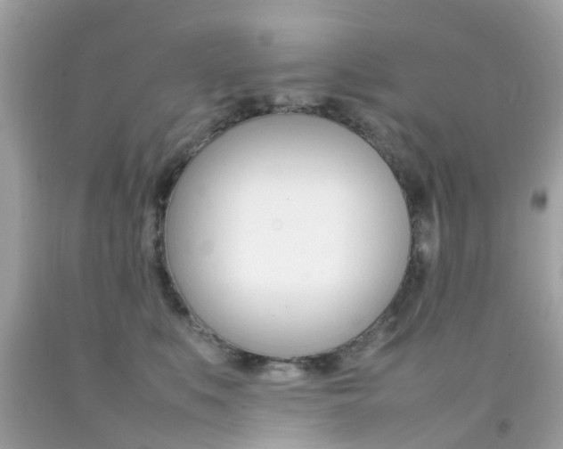X0000092090519200709121128
