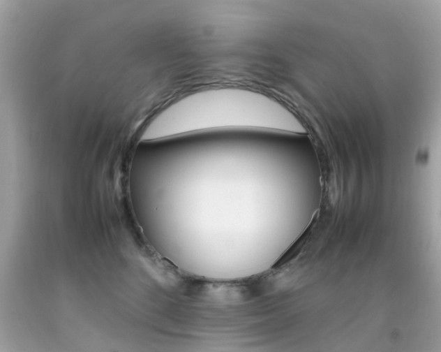 X0000092090520200709121128