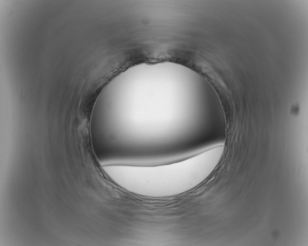 X0000092090521200709121128