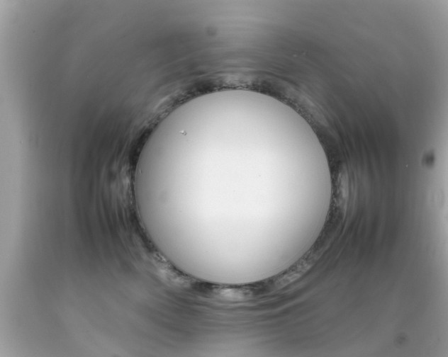X0000092090522200709121128
