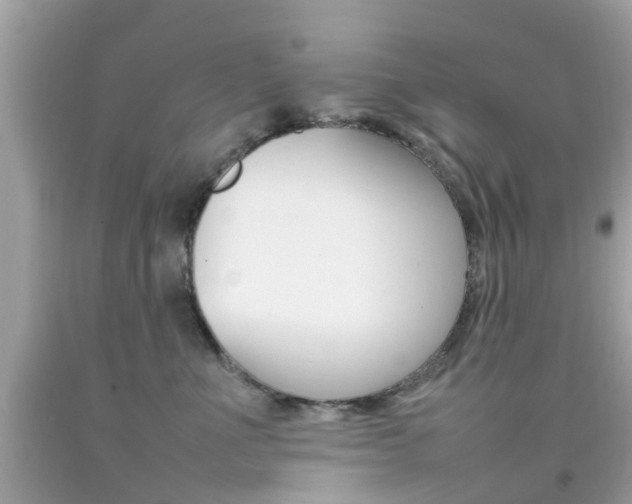 X0000092090523200709121128