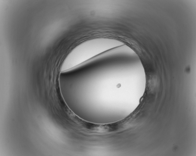 X0000092090525200709121128