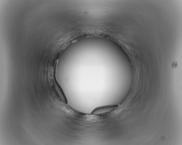 X0000092090528200709121128