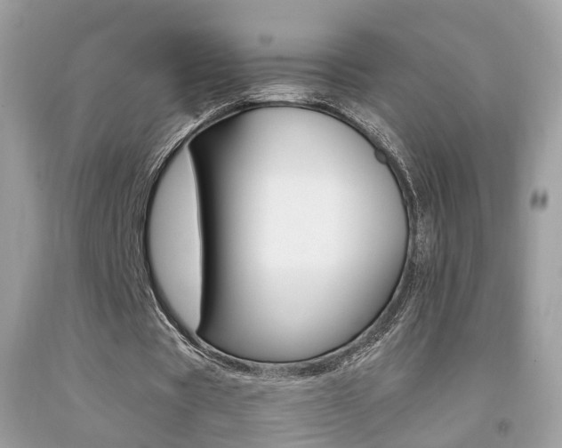 X0000092090529200709121127