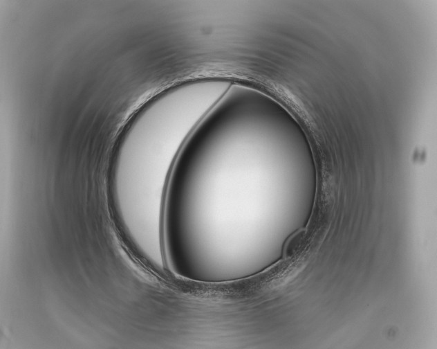X0000092090530200709121127