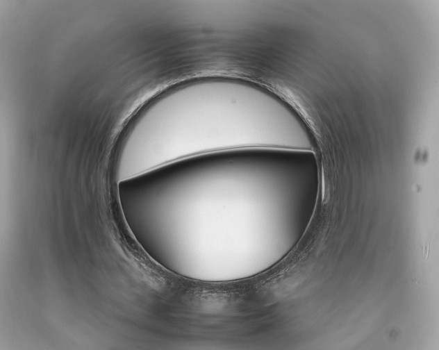 X0000092090531200709121127