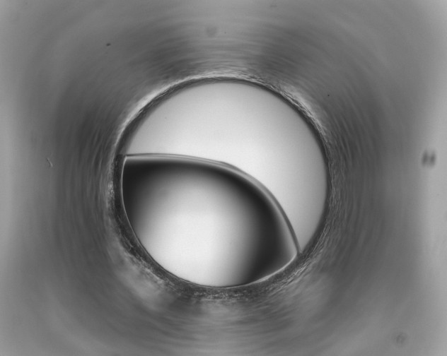 X0000092090532200709121127