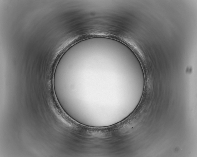 X0000092090533200709121127
