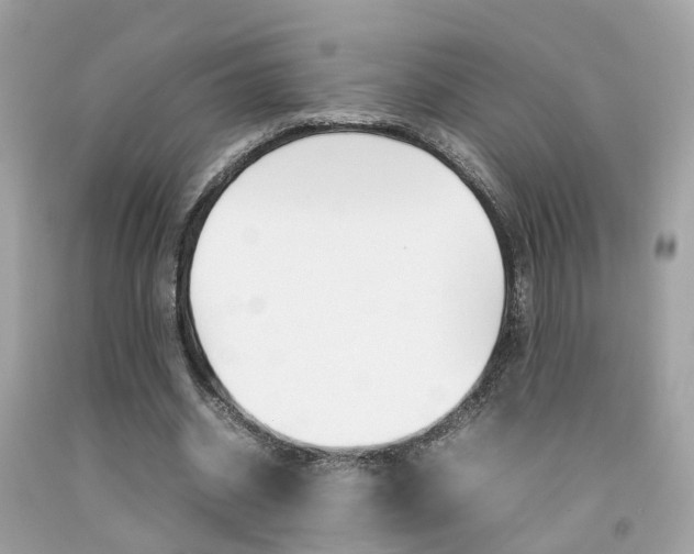 X0000092090534200709121127