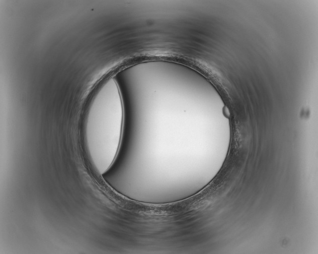 X0000092090535200709121127