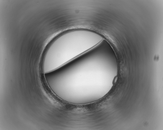 X0000092090536200709121128