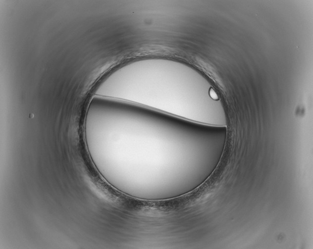 X0000092090538200709121128
