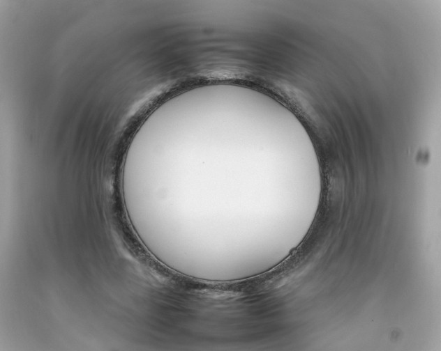 X0000092090539200709121128