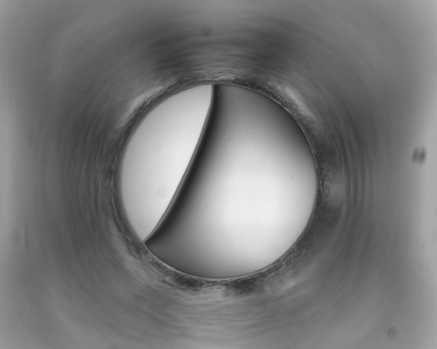 X0000092090543200709121128