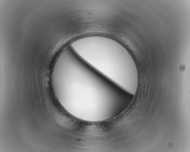 X0000092090544200709121128
