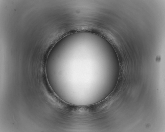 X0000092090546200709121128