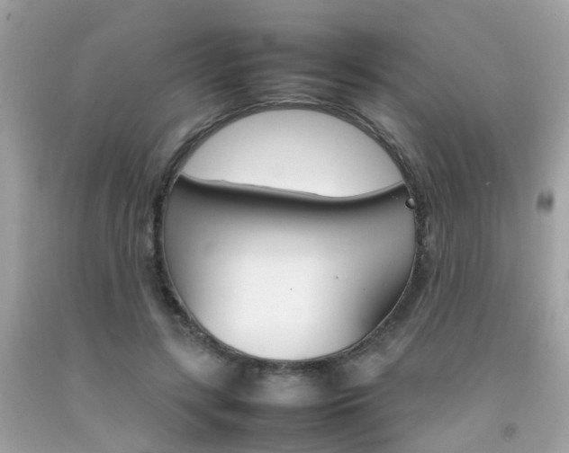X0000092090547200709121128