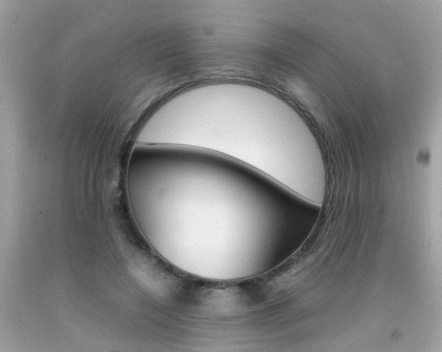 X0000092090548200709121128