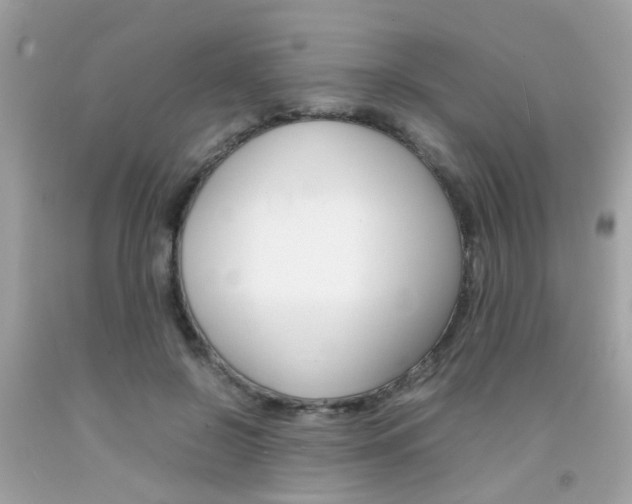 X0000092090550200709121128