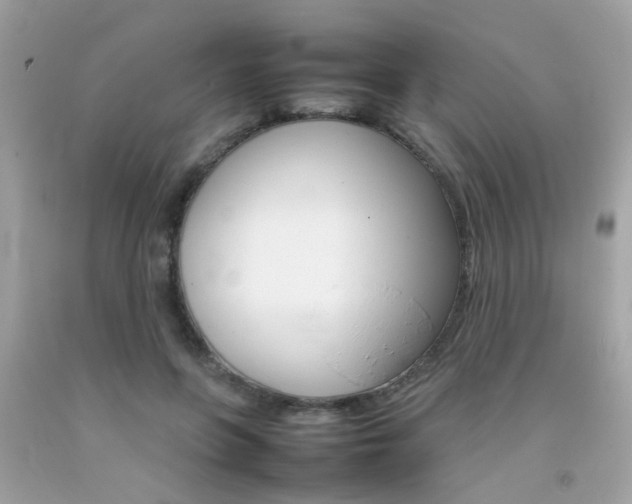 X0000092090551200709121128