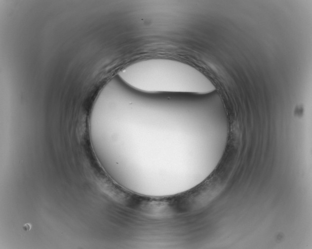 X0000092090554200709121128