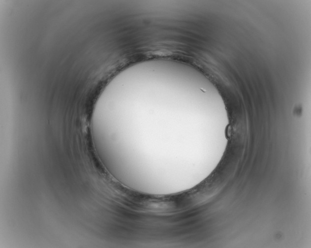 X0000092090555200709121128