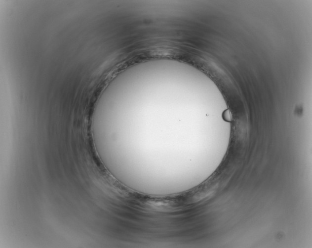 X0000092090557200709121128