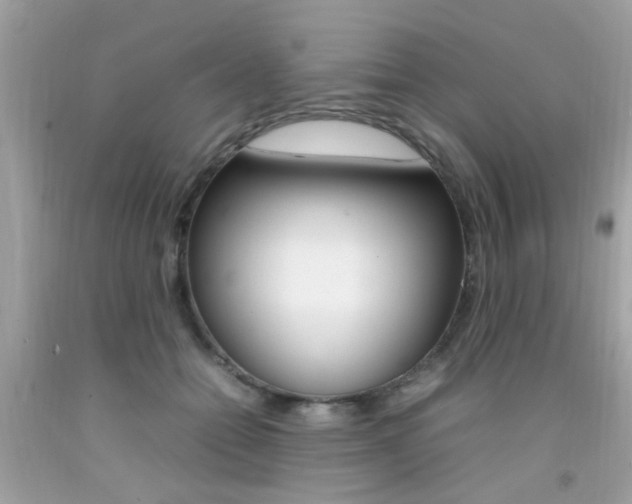 X0000092090558200709121128