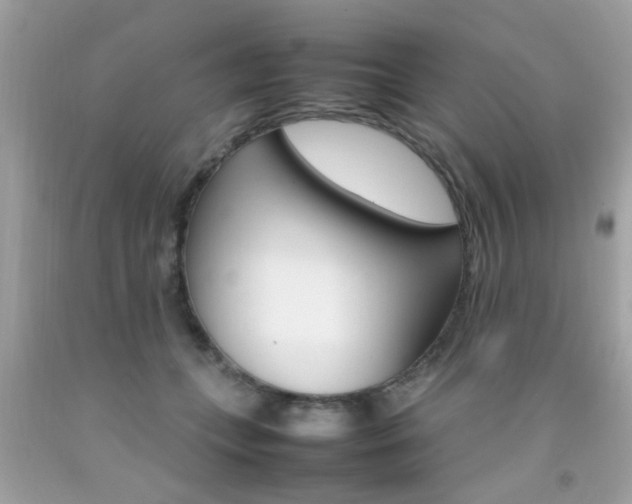 X0000092090559200709121128