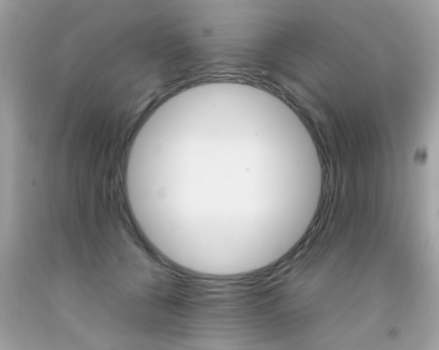 X0000092090560200709121128