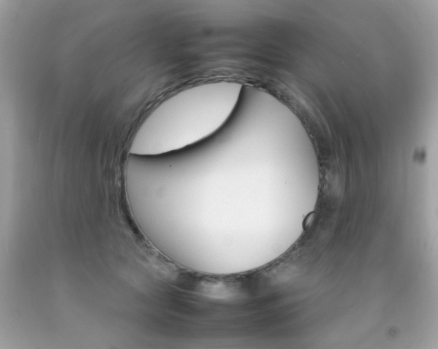 X0000092090561200709121128