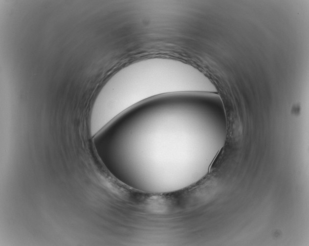 X0000092090562200709121128