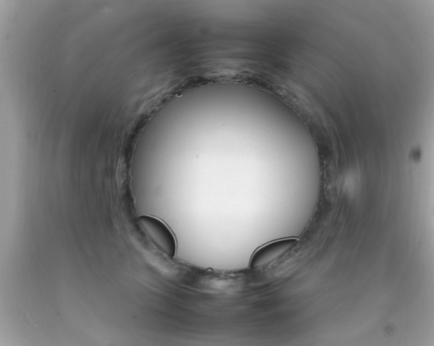 X0000092090563200709121128