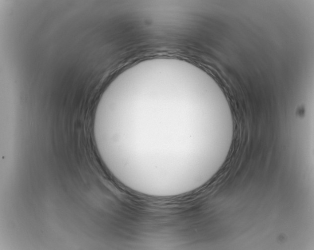 X0000092090564200709121128