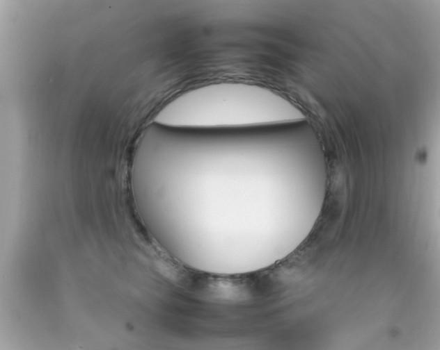 X0000092090565200709121128