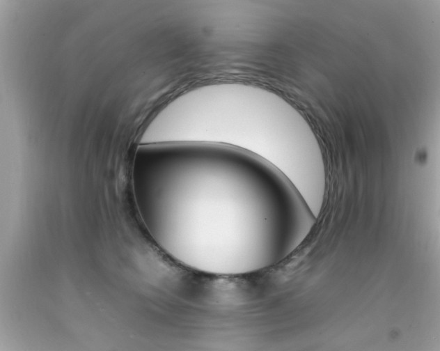 X0000092090566200709121128