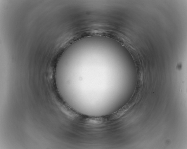 X0000092090567200709121128