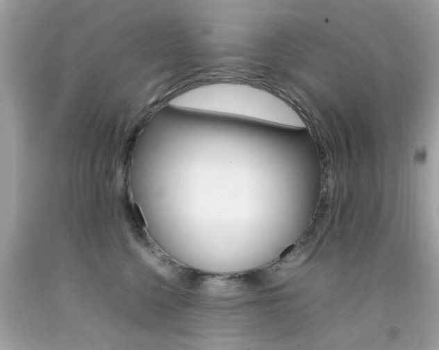 X0000092090568200709121128