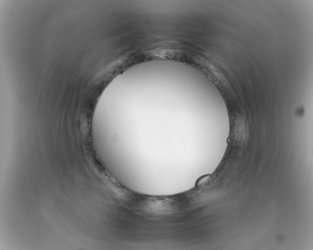 X0000092090569200709121128