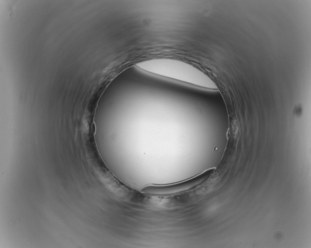 X0000092090570200709121128