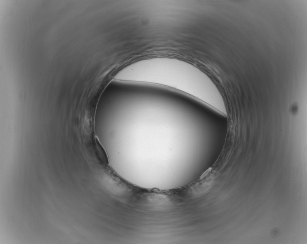 X0000092090572200709121128