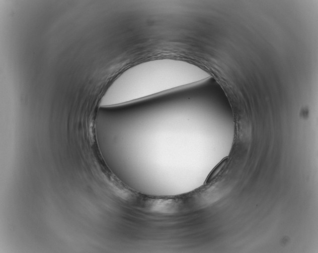 X0000092090575200709121128