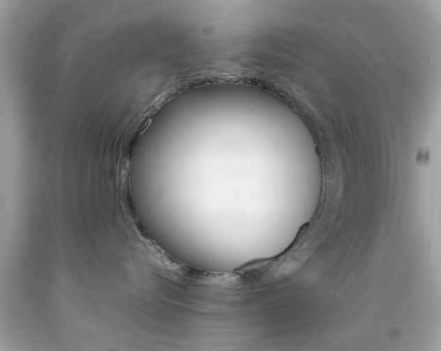 X0000092090576200709121128