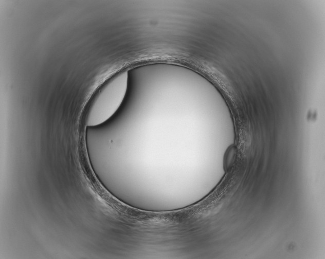X0000092090578200709121127