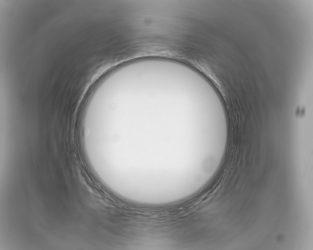 X0000092090579200709121127